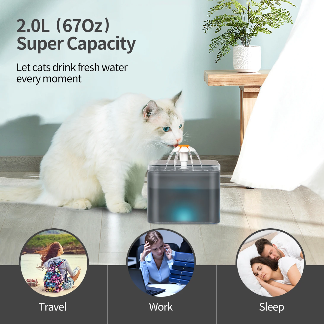 Automatic Pet Water Fountain – Ultra Quiet with LED Light