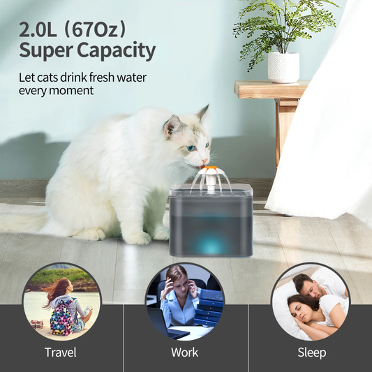 Automatic Pet Water Fountain – Ultra Quiet with LED Light