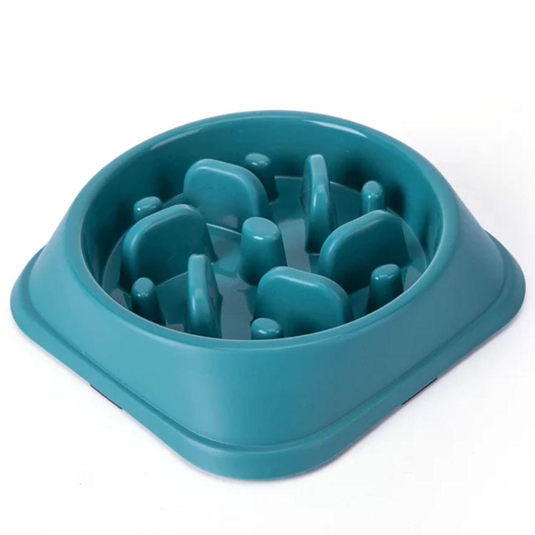 Slow Feeder Dog Bowl – Anti-Bloat MunchLabyrinth Design