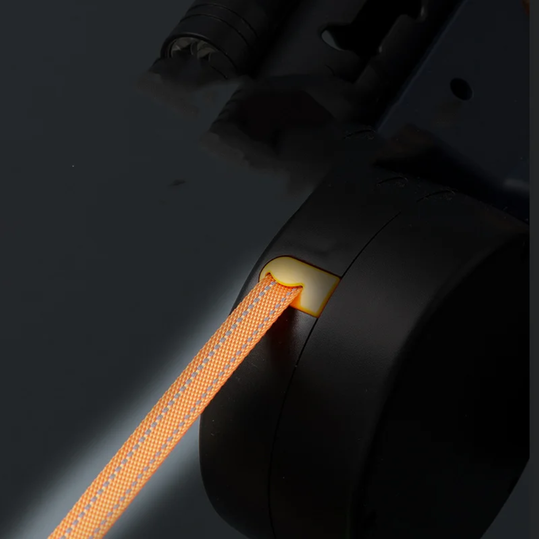 Dual Retractable Dog Leash with LED Flashlight