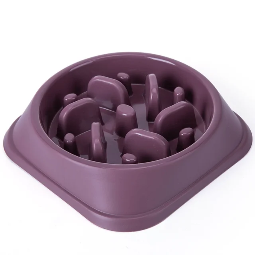 Slow Feeder Dog Bowl – Anti-Bloat MunchLabyrinth Design