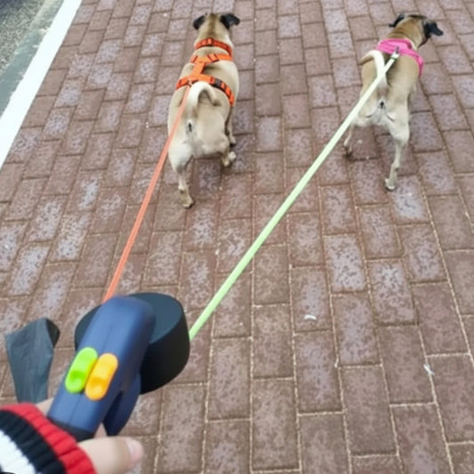 Dual Retractable Dog Leash with LED Flashlight