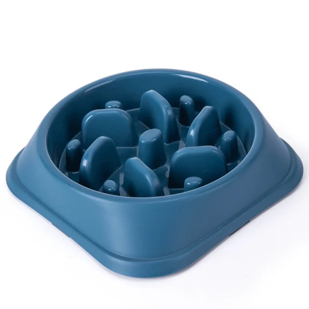 Slow Feeder Dog Bowl – Anti-Bloat MunchLabyrinth Design